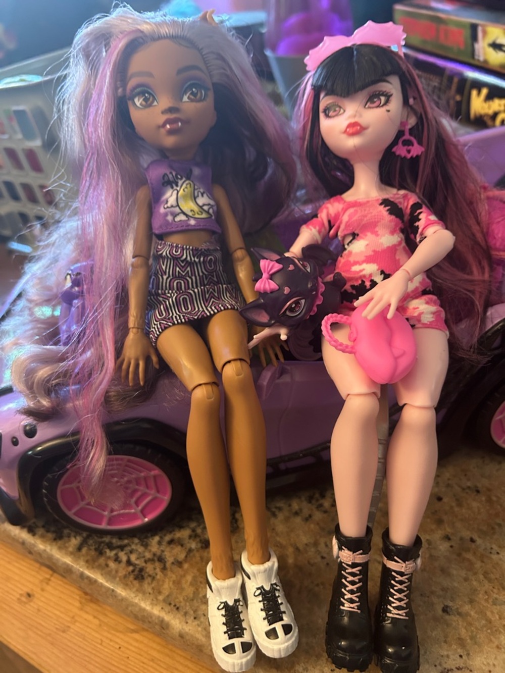 monster high Purple & Pink Doll Duo with Accessories